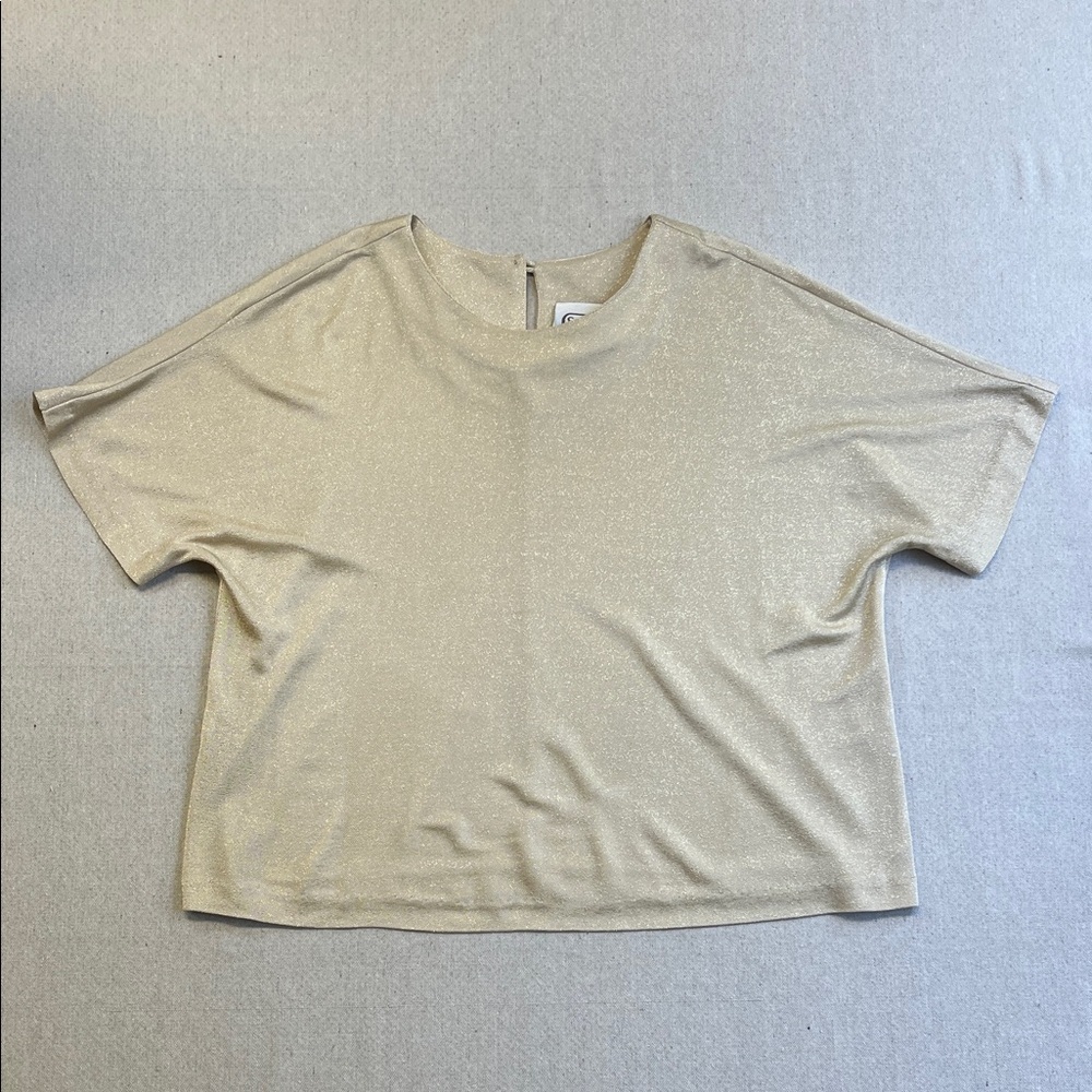 Saint Germain Paris Gold Shimmer Short Sleeve Top Size Large
